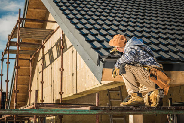 Best Roof Moss and Algae Removal  in Horatio, AR