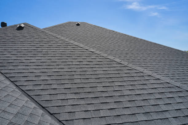 Best Roof Waterproofing  in Horatio, AR