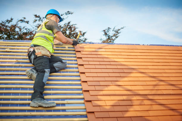 Best Roof Installation  in Horatio, AR